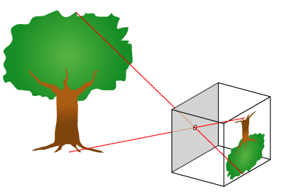 ピンホールカメラの原理。物体から発した光は小さな穴をとおり像を結ぶ