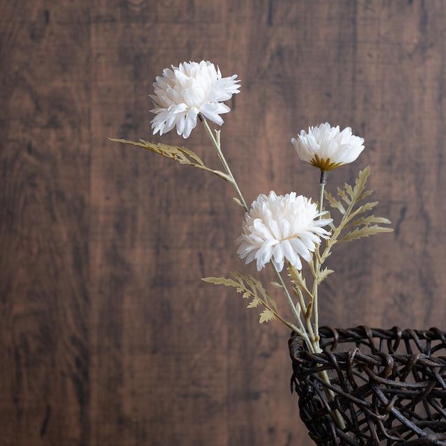 画像1: 出典：ftn_pics