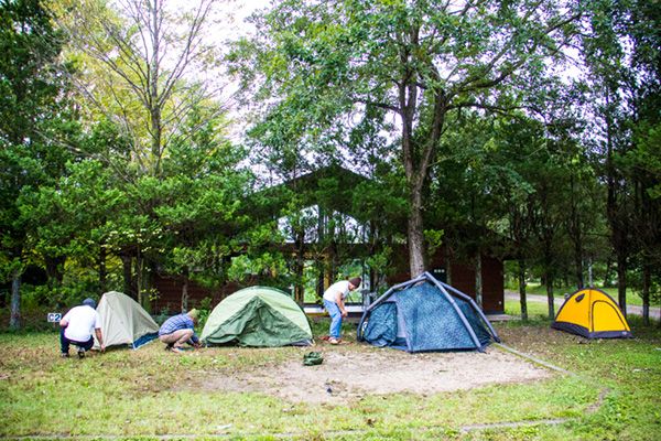 カスタマイズが神すぎる…！上級キャンパーのバンライフのインテリア作りを紹介！【人気記事】