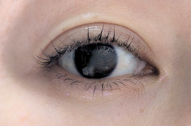 セザンヌの写真