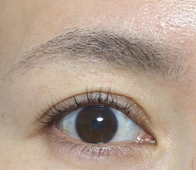 キャンメイクの写真