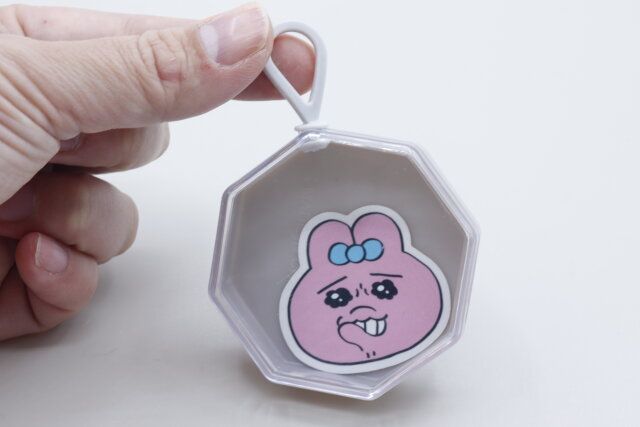 ダイソーのメイクアップパフ（花形、2個、専用ケース付）のケース活用法