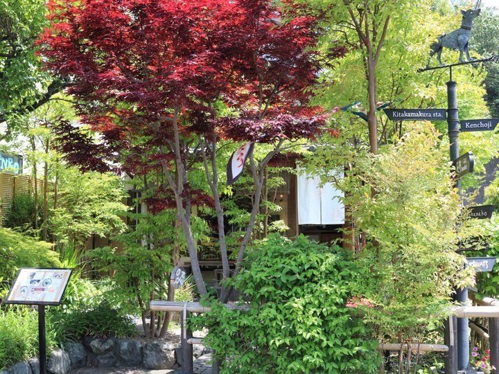 湘南・鎌倉エリアのカフェでおすすめの抹茶スイーツ9選♪