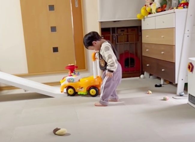 ちぃ君の成長日記。