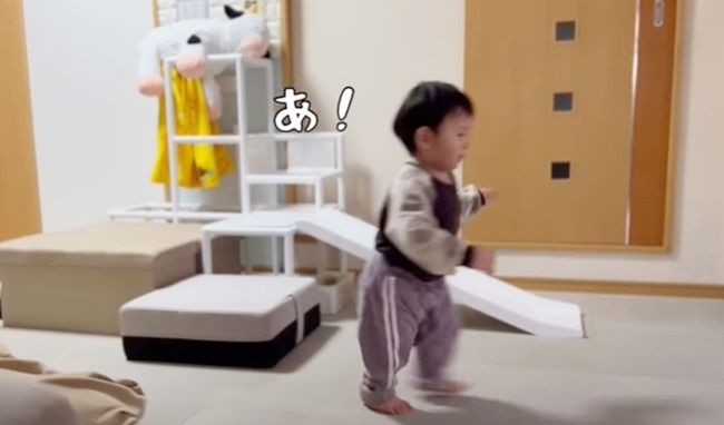 ちぃ君の成長日記。