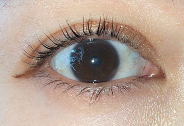 キャンメイクの写真