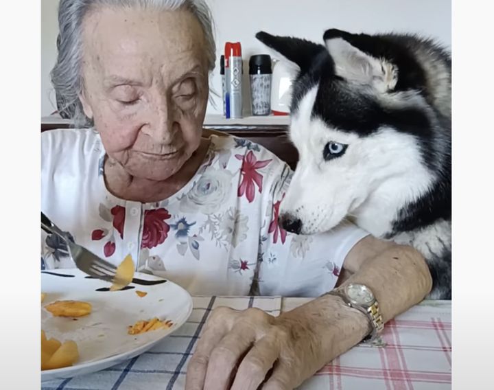 犬「ばぁちゃん、一緒に食べていい？」孫のように仲良しなふたり♪