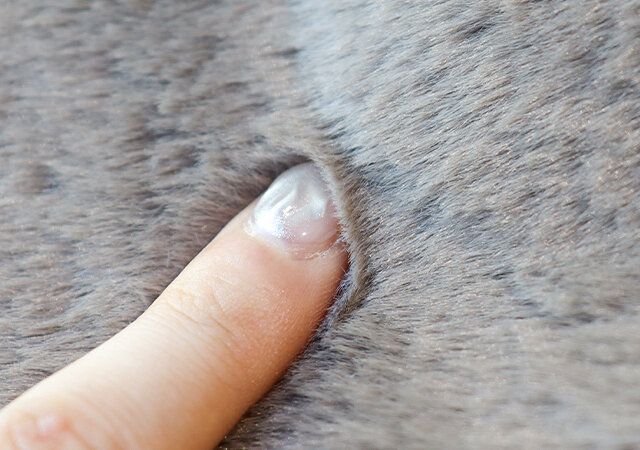 コンジェ ぺイエ アデュー トリステスの2way巾着バッグのエコファー素材