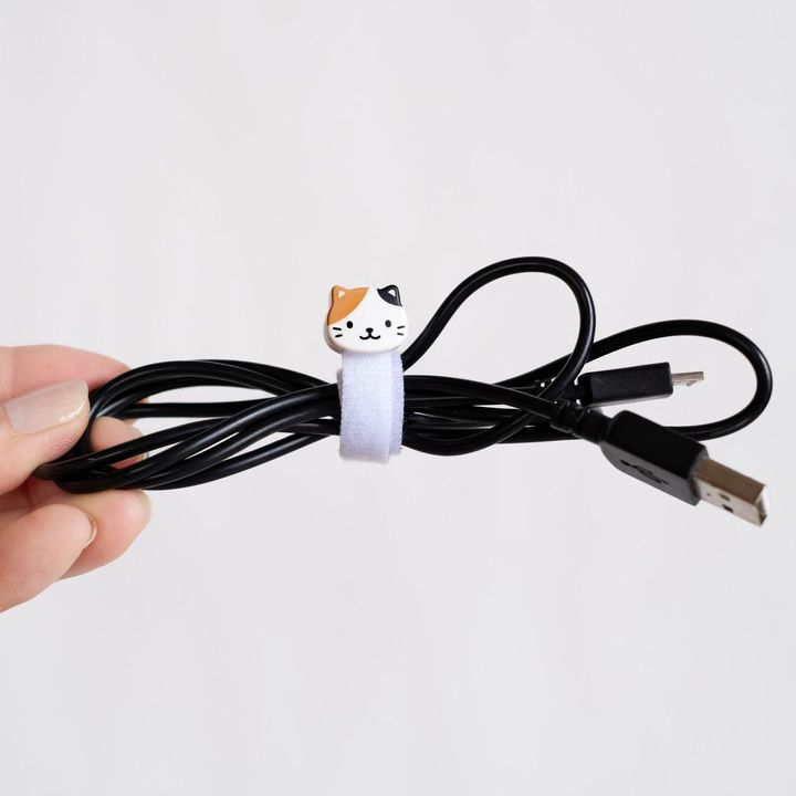 画像1: 出典：ftn_pics