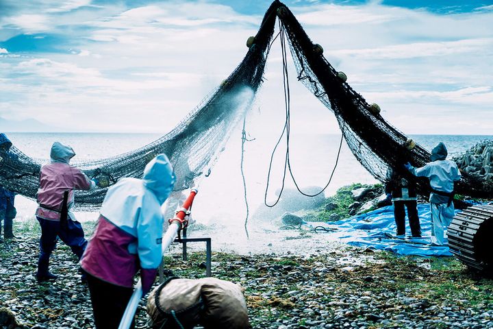 北海道 知床のヒグマクルーズ