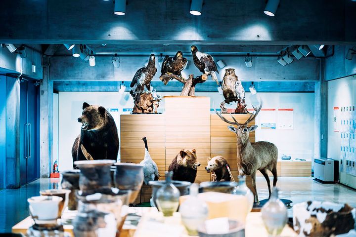 北海道 ポー川史跡自然公園内のビジターセンタ-