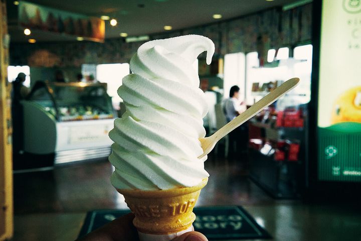 北海道 中標津の開陽台