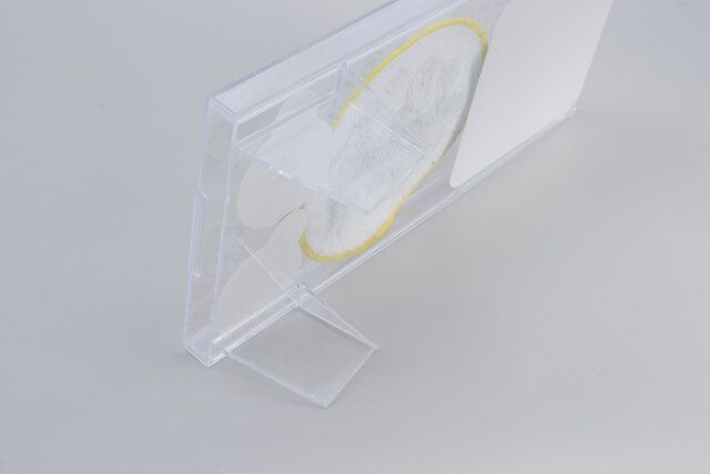 ダイソーのマイコレ ディスプレイケース ロングのスタンド