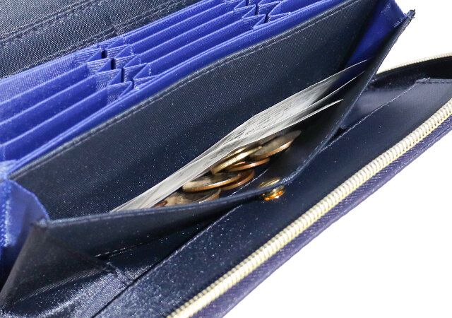 林 秀靜 監修 金運財布の小銭とレシートを自動で分けてくれるスペース