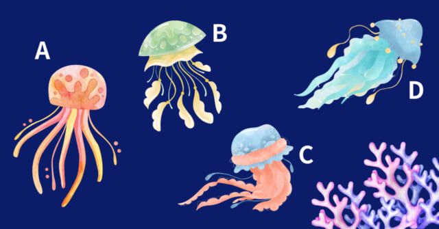 どのクラゲが気になる？【心理テスト】あなたの組織適応力を診断！