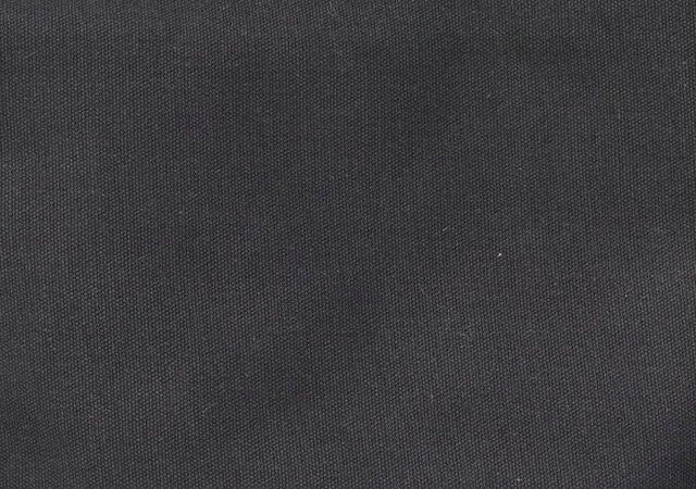 アース ミュージック＆エコロジーのイベントトートバッグ BLACKの素材