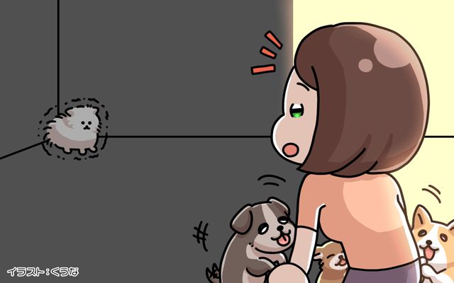 これがアメリカの女子大生[#71]