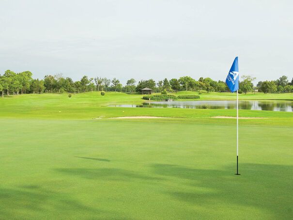 古い？ ビギナー用？ その考えは過去のもの！ 今どきのレンタルクラブは“いいもの揃い”