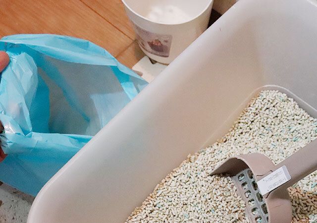 猫砂の処理ができるコスパ抜群のポリ袋