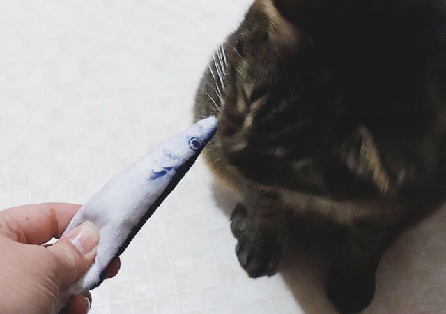 猫とのふれあいタイムに使えるサンマのおもちゃ
