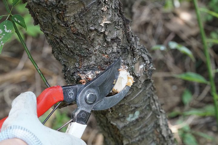 レシプロソーの切り口の保護