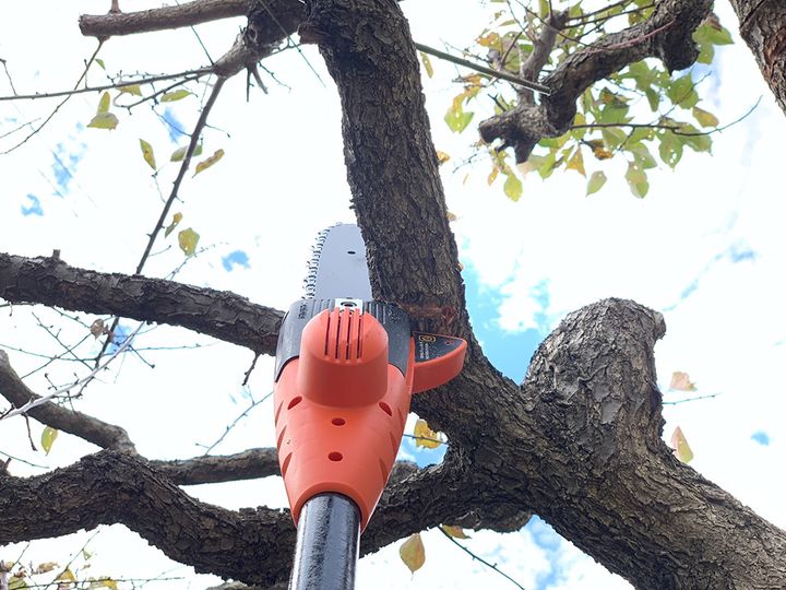 高枝切りチェーンソー