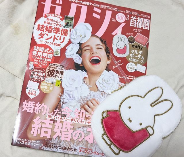 ミッフィーマルチポーチと印鑑ケースSET（朱肉つき）