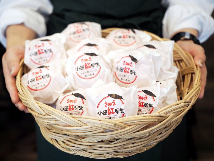 贅沢プリンアラモードが人気♪ 三鷹の老舗果実店が営む「Café Ichifuji」