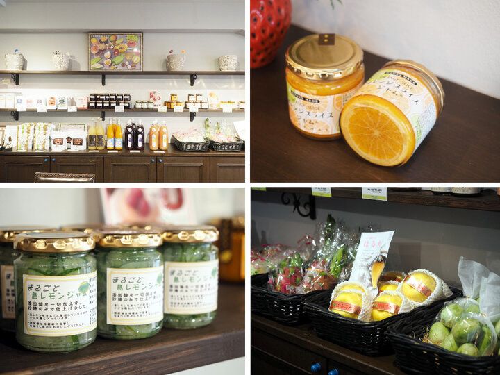 贅沢プリンアラモードが人気♪ 三鷹の老舗果実店が営む「Café Ichifuji」