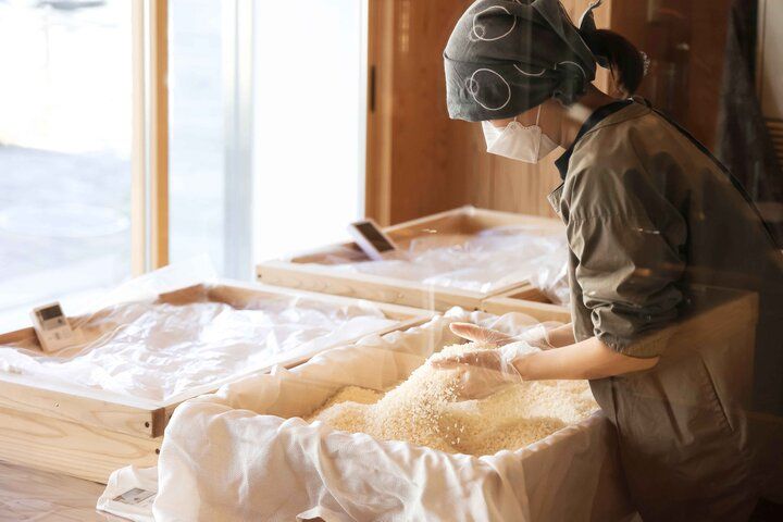 発酵の奥深さを体験できる京都「梅小路醗酵所」で、麹のワークショップや発酵ごはんを