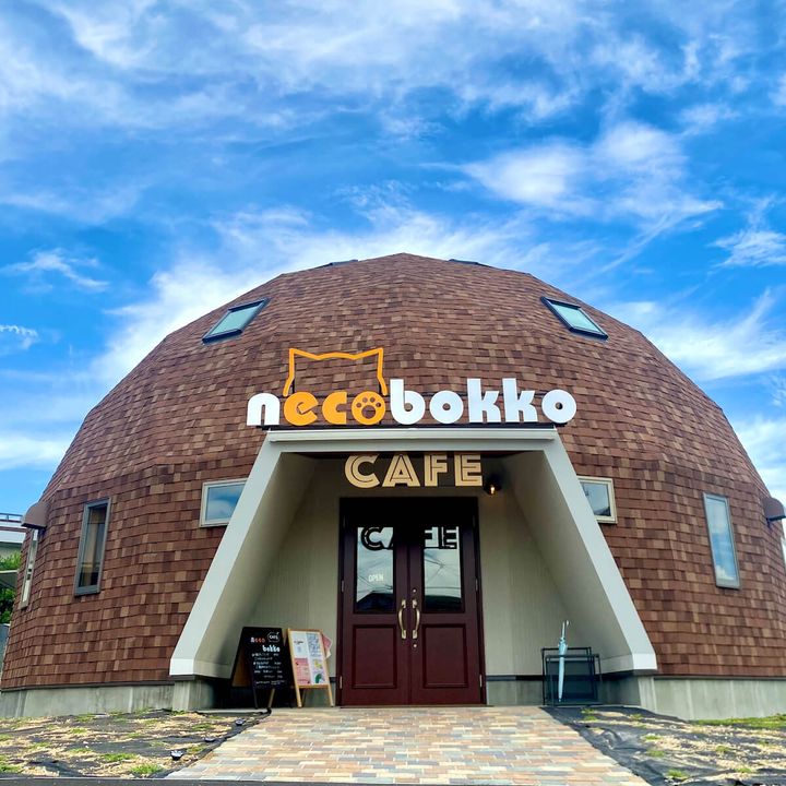 香川県多度津町にオープンした、本格的な料理と猫とのふれあいが楽しめる複合施設「necobokko CAFE」店舗外観イメージ