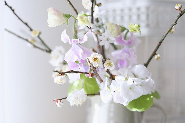 ウメのアレンジ