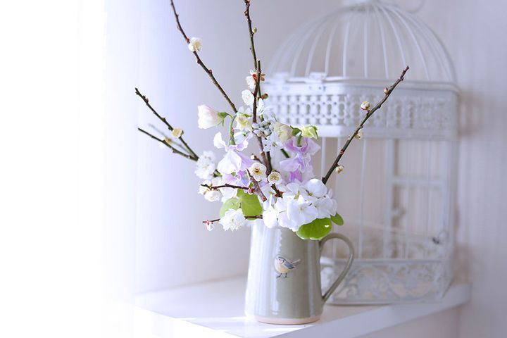 ウメのアレンジ