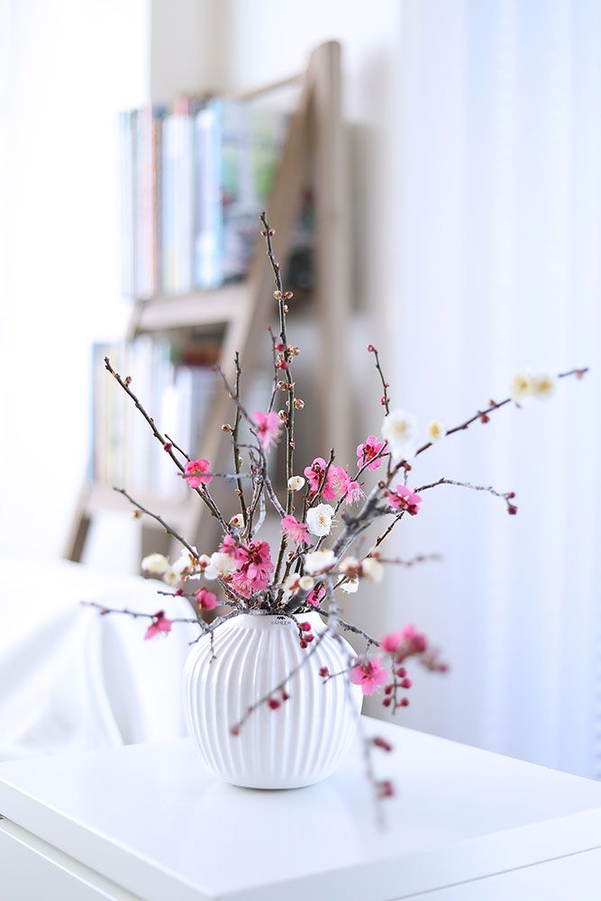 ウメのアレンジ