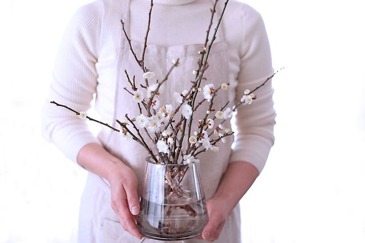 ウメのアレンジ