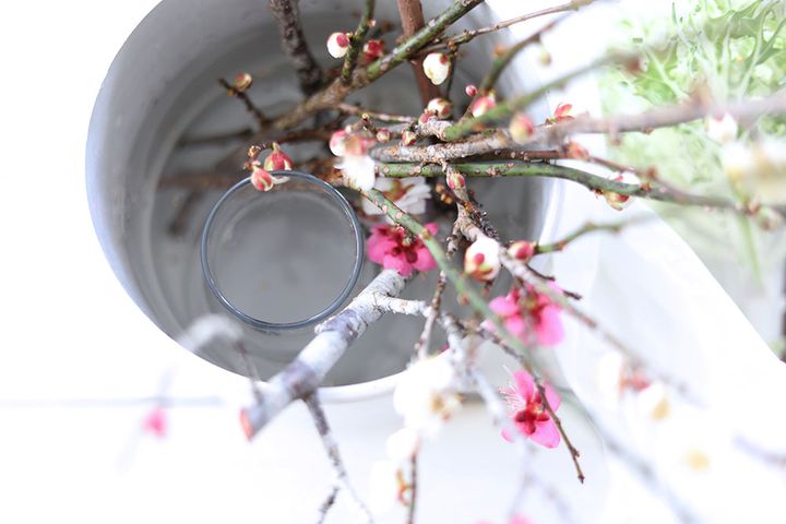 ウメのアレンジ