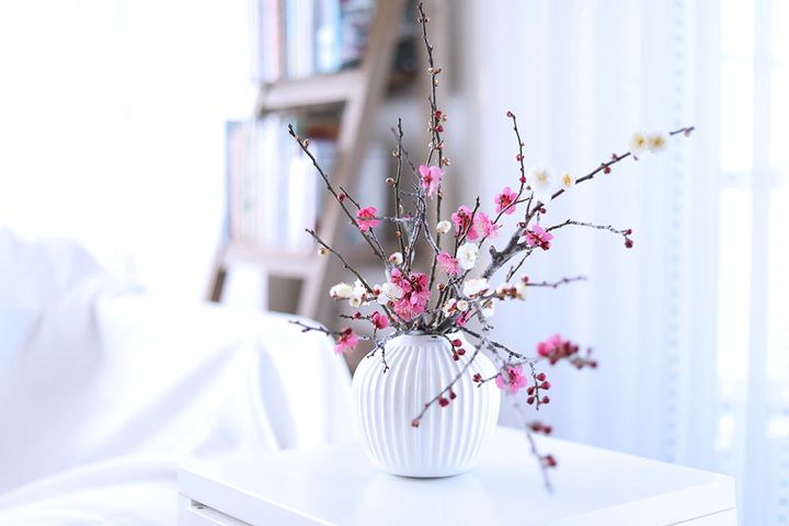 ウメのアレンジ