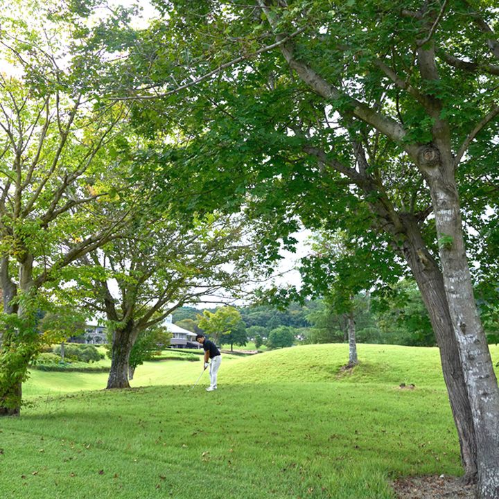 「やってもた！」大ピンチからこれで脱出！ 知って得するゴルフテク【林の中編】