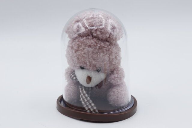 ディスプレイドーム Mの使用例