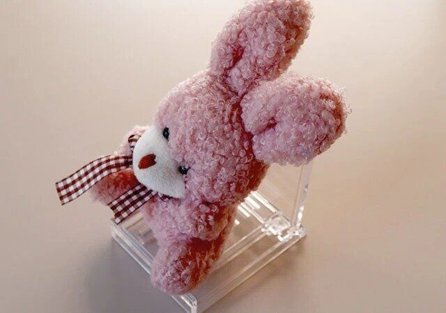 マイコレ フレーム用スタンド 2Pの活用例