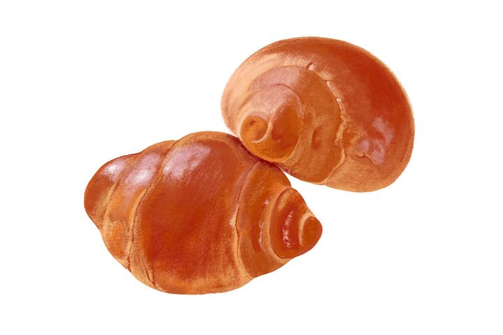 自分でパンを焼くときにも