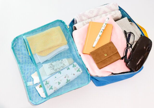 あつまれどうぶつの森トラベルポーチ付録レビュー