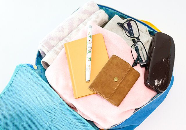 あつまれどうぶつの森トラベルポーチ付録レビュー