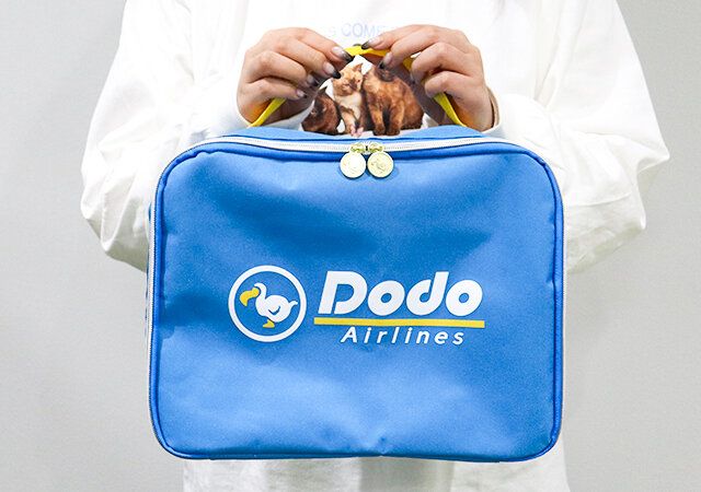 あつまれどうぶつの森トラベルポーチ付録レビュー