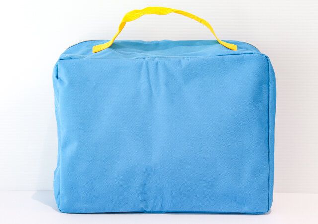 あつまれどうぶつの森トラベルポーチ付録レビュー