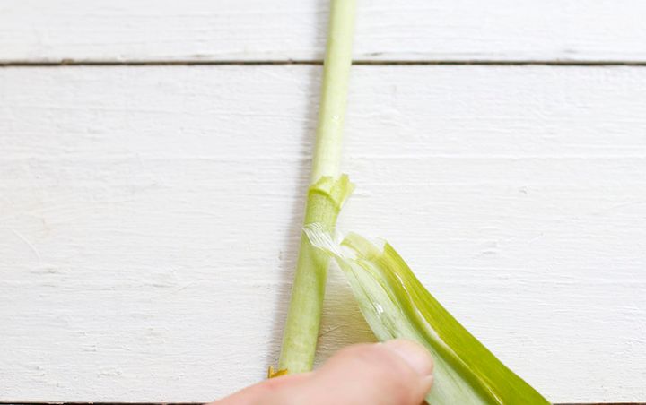 チューリップの飾り方