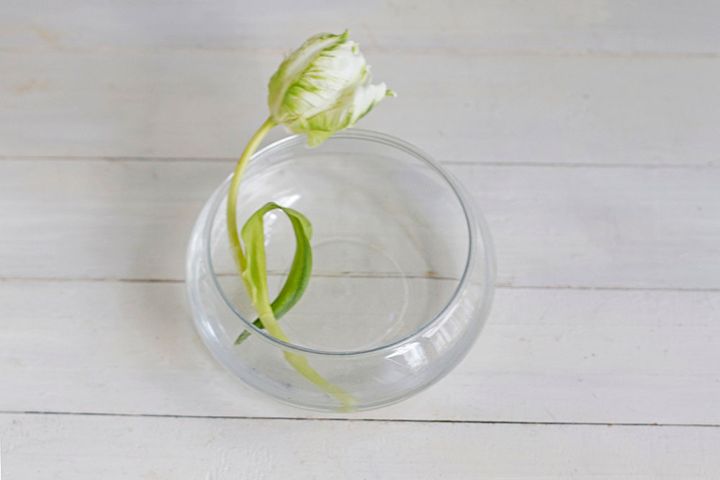 チューリップのアレンジ