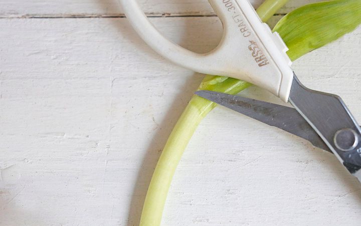 チューリップの飾り方