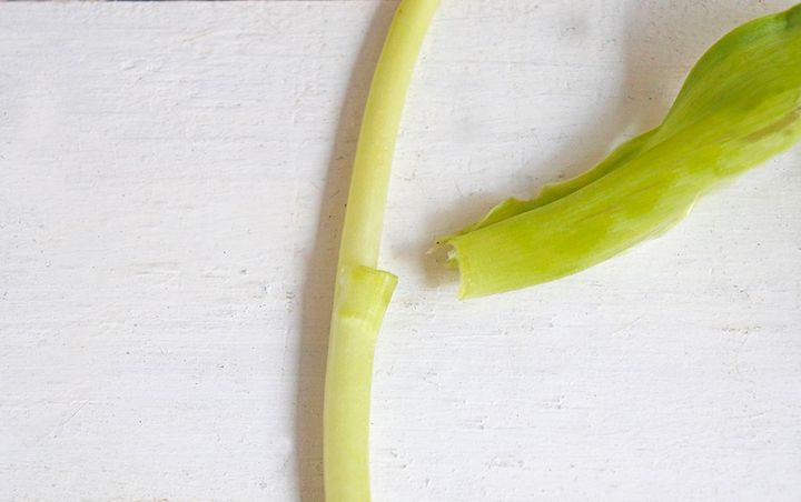 チューリップの飾り方