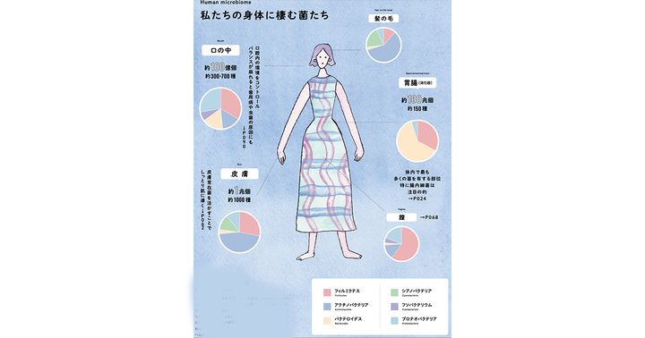 菌とは、なにもの？｜菌と、きれいになる①
